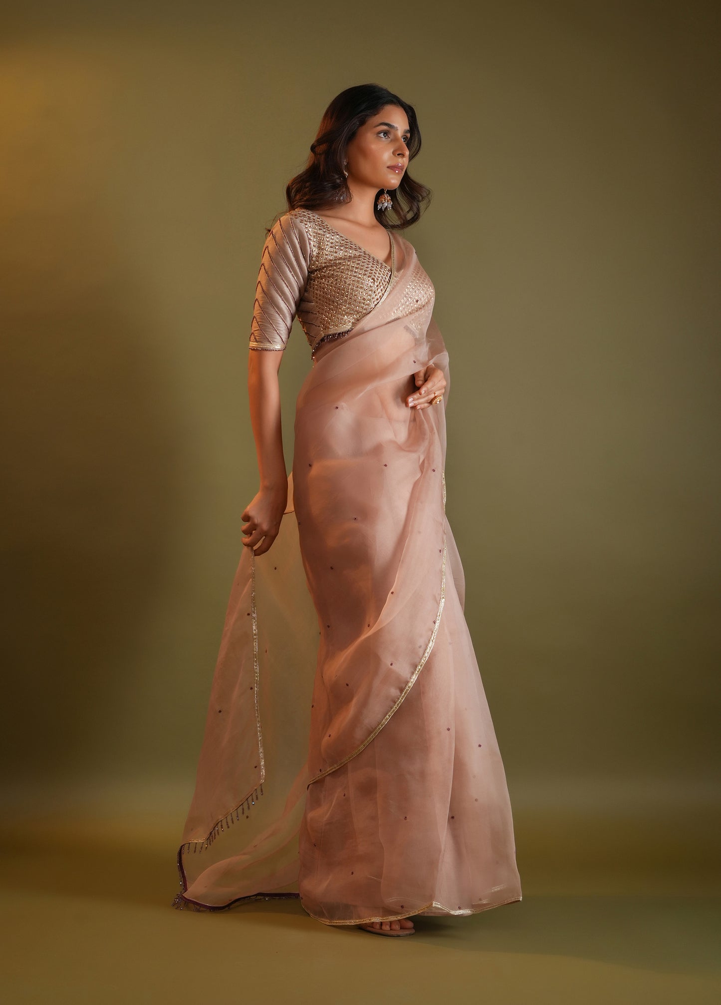 Blush Nude Saree