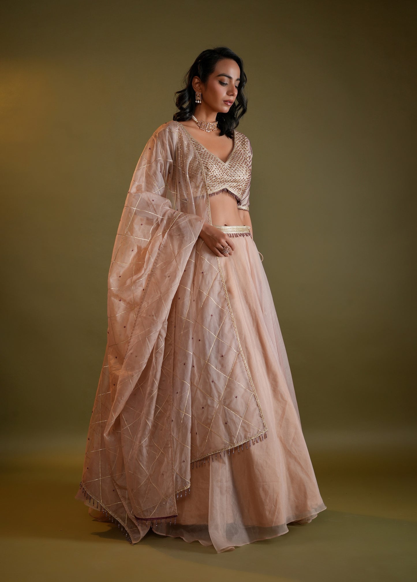 Blush Nude Lahenga Set