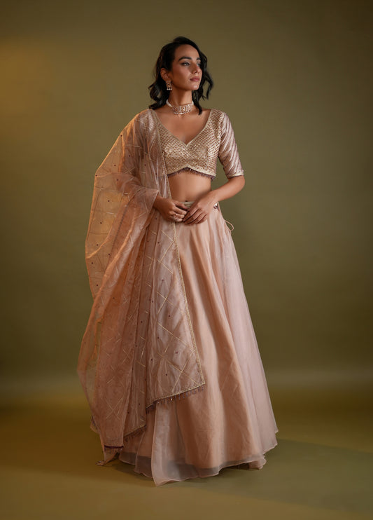 Blush Nude Lahenga Set