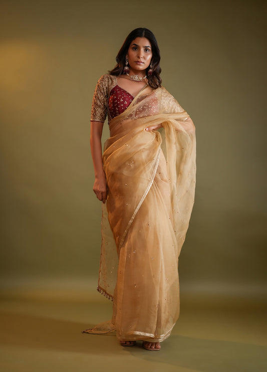 Antique Gold Saree with Maroon & Gold Embellished Blouse