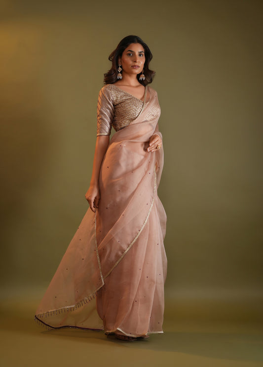 Blush Nude Saree