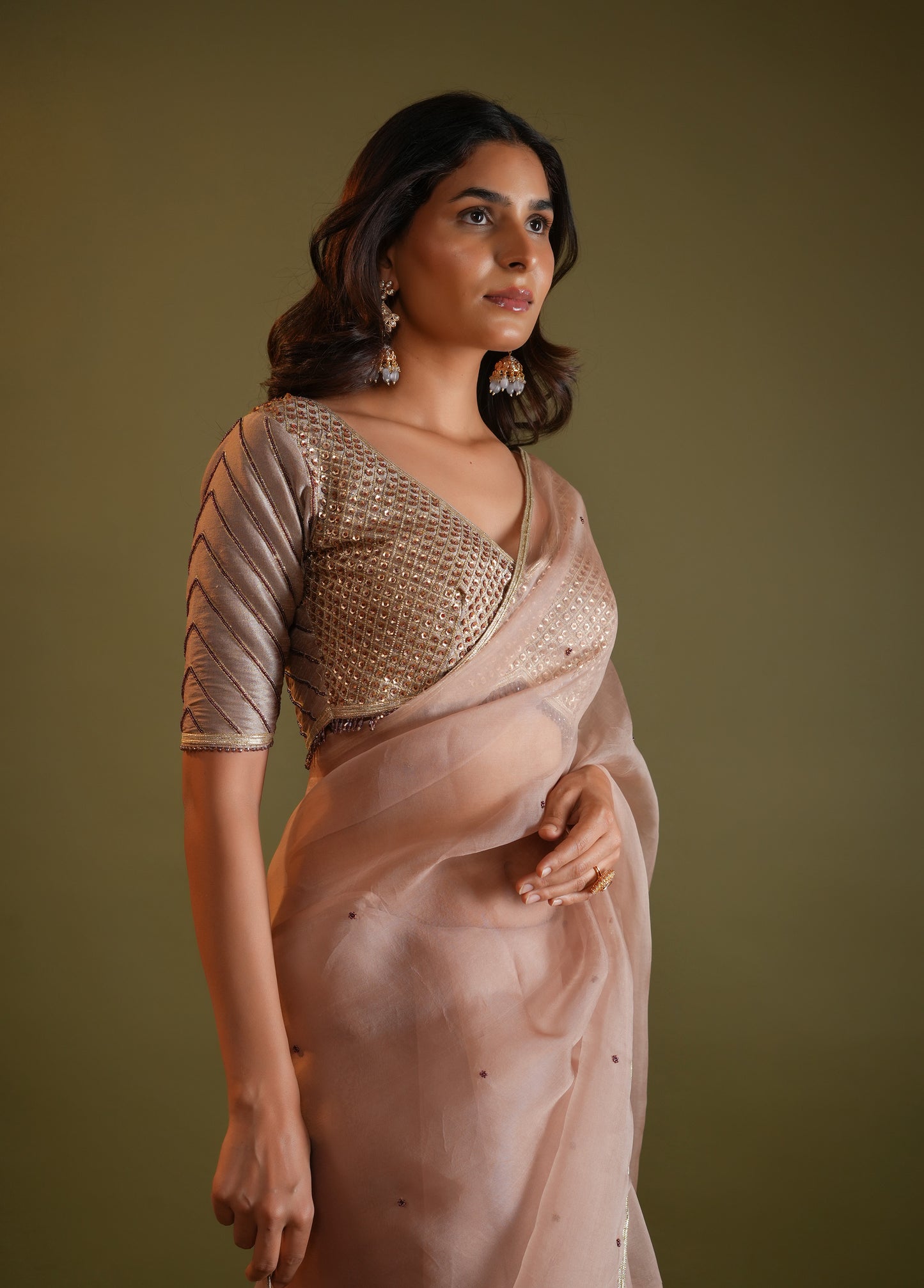 Blush Nude Saree