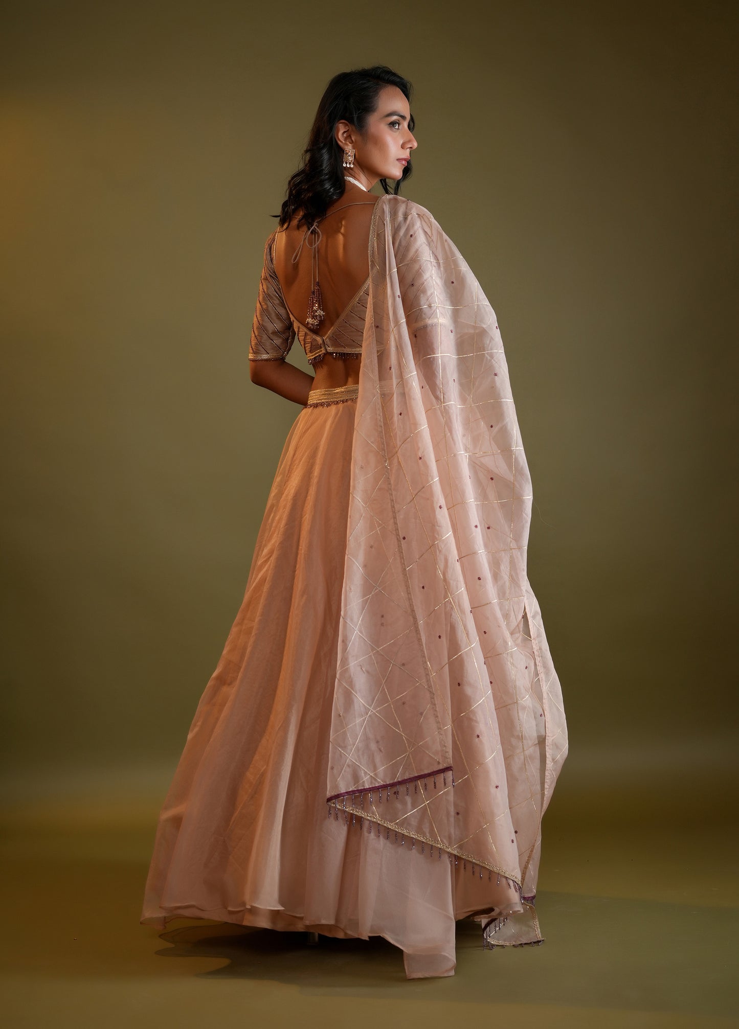 Blush Nude Lahenga Set