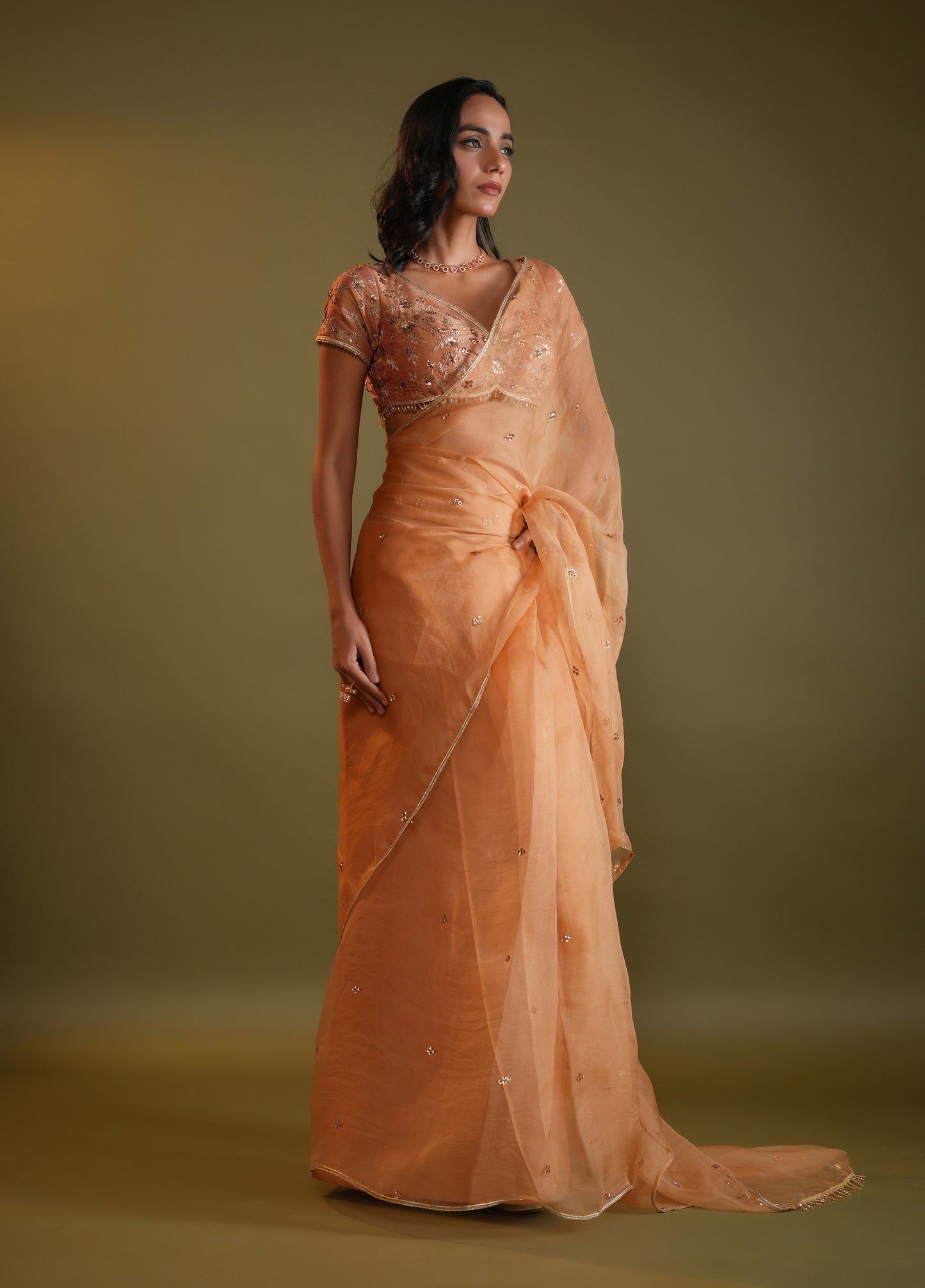 Soft Peach Saree