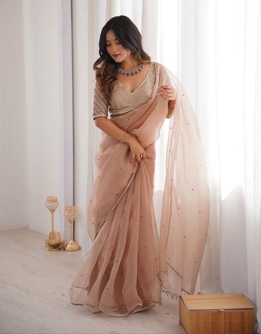 Blush Nude Saree